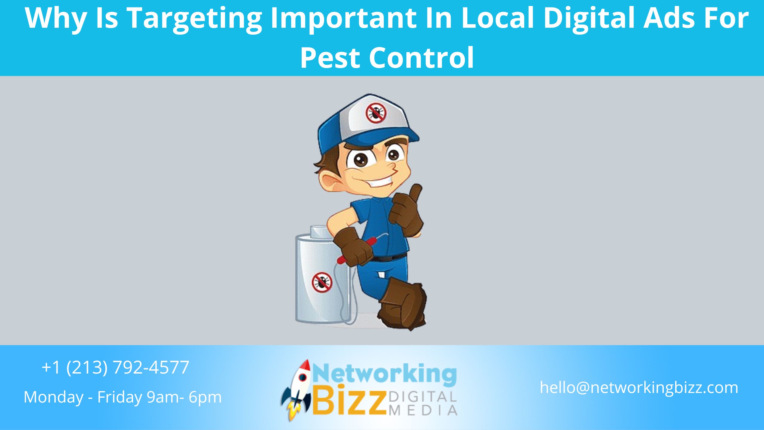 Why Is Targeting Important In Local Digital Ads For Pest Control